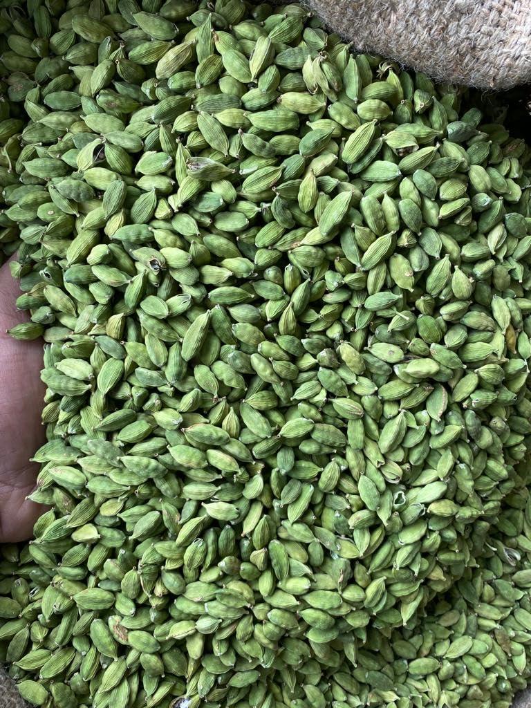 ela seed ELA SEED Kerala Bold Green Cardamom 8mm+ - Direct from Idukki Farmers, No Additives, Preservative-Free, Handpicked Elaichi, Aroma Locked in Resealable Pouch for Fresh Green Cardamom Flavor 250G (4)