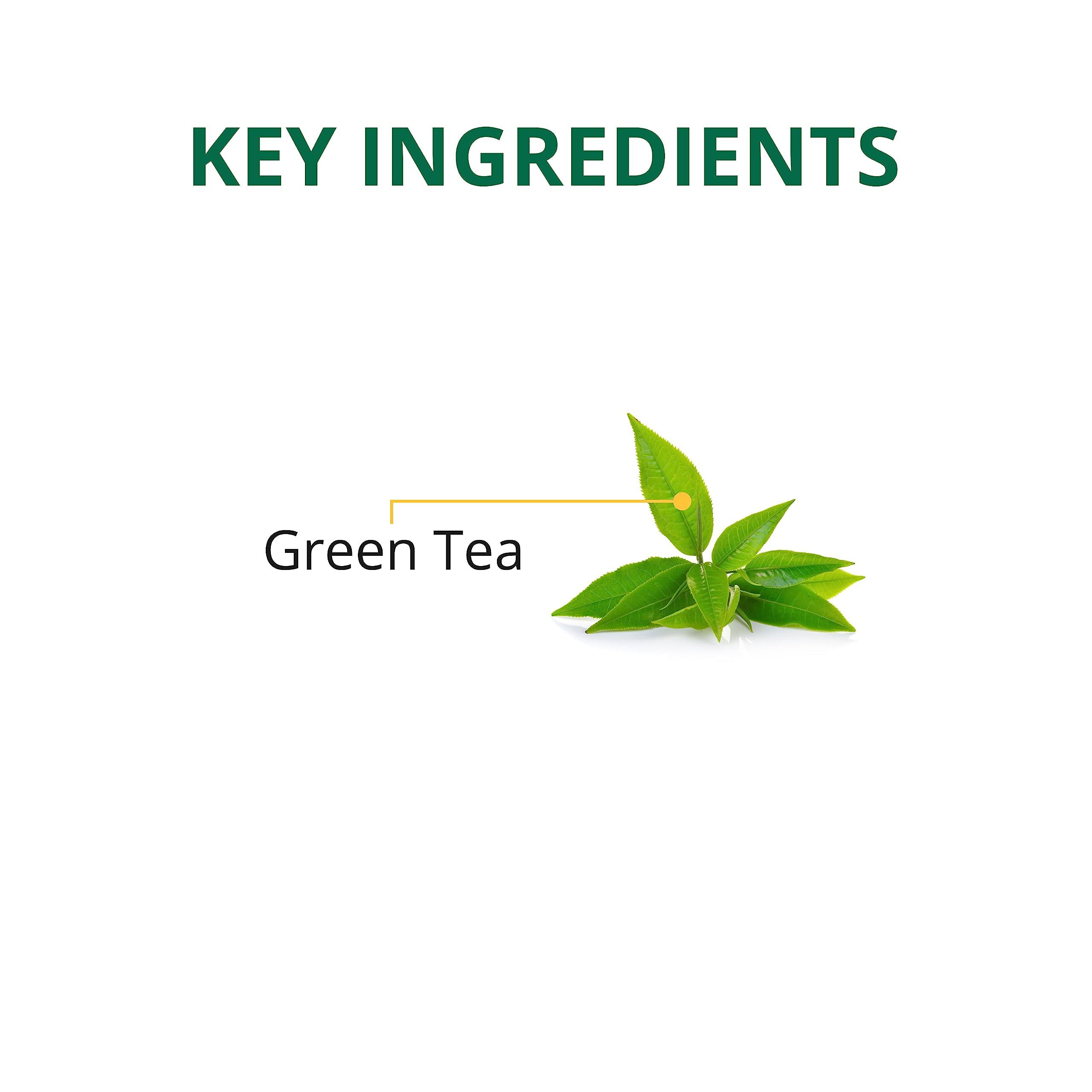 TE-A-ME TE-A-ME Long Leaf Green Tea, 200 gms | Green Tea | Green Tea Loose Leaves | Loose Green Tea | Loose Green Tea Leaves | Pure Green Tea