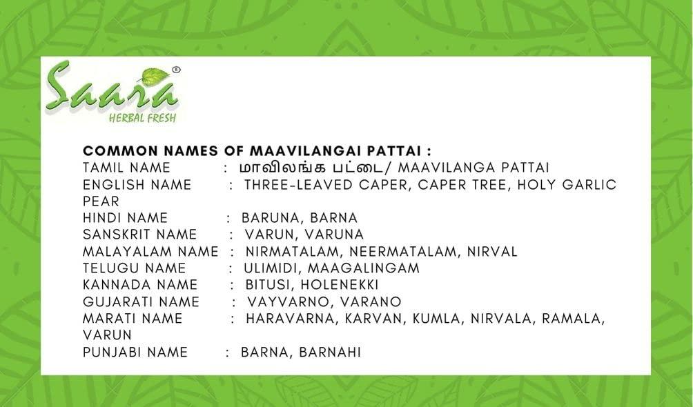 SAARA Saara HERBAL FRESH Mavilanga Pattai Powder(300gram) Mavilanga Pattai,Maavilanga Pattai,Varun Chhal,Barna, Crataeva Nurvala Bark,Caper Tree Bark Powder, 300g (Pack100gx3)