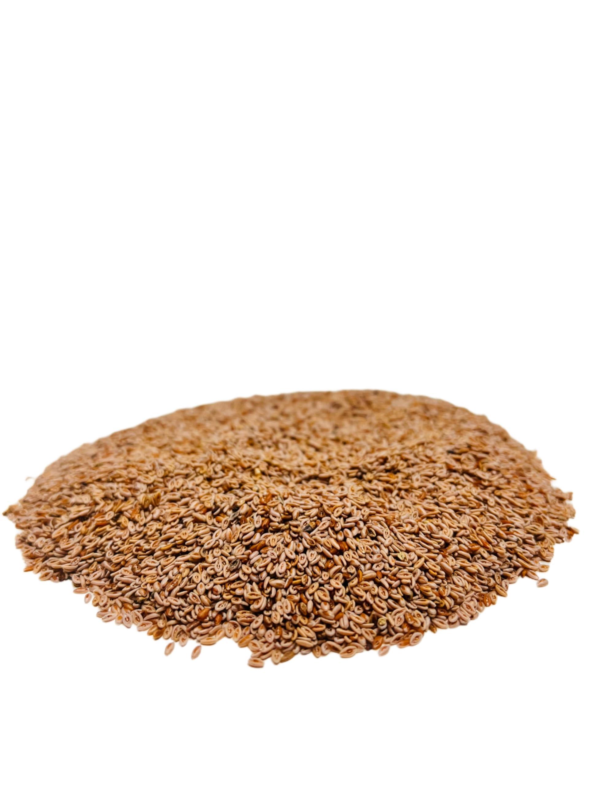 Ayushiv Ayushiv ISABGOL SEEDS (Plantago ovata) -Psyllium husk- Isabgol aka (100 GM)