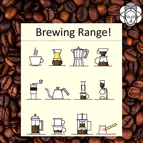 ORGANIC NATURE Organic Nature Edible Healthy Seeds 6-in-1 Raw Seeds Mix 250 gm | Pumpkin, Sunflower, Chia, Flax, Watermelon, Sesame Seeds| Jar Pack| (1Kg (Pack of 4 of 250 Grams))