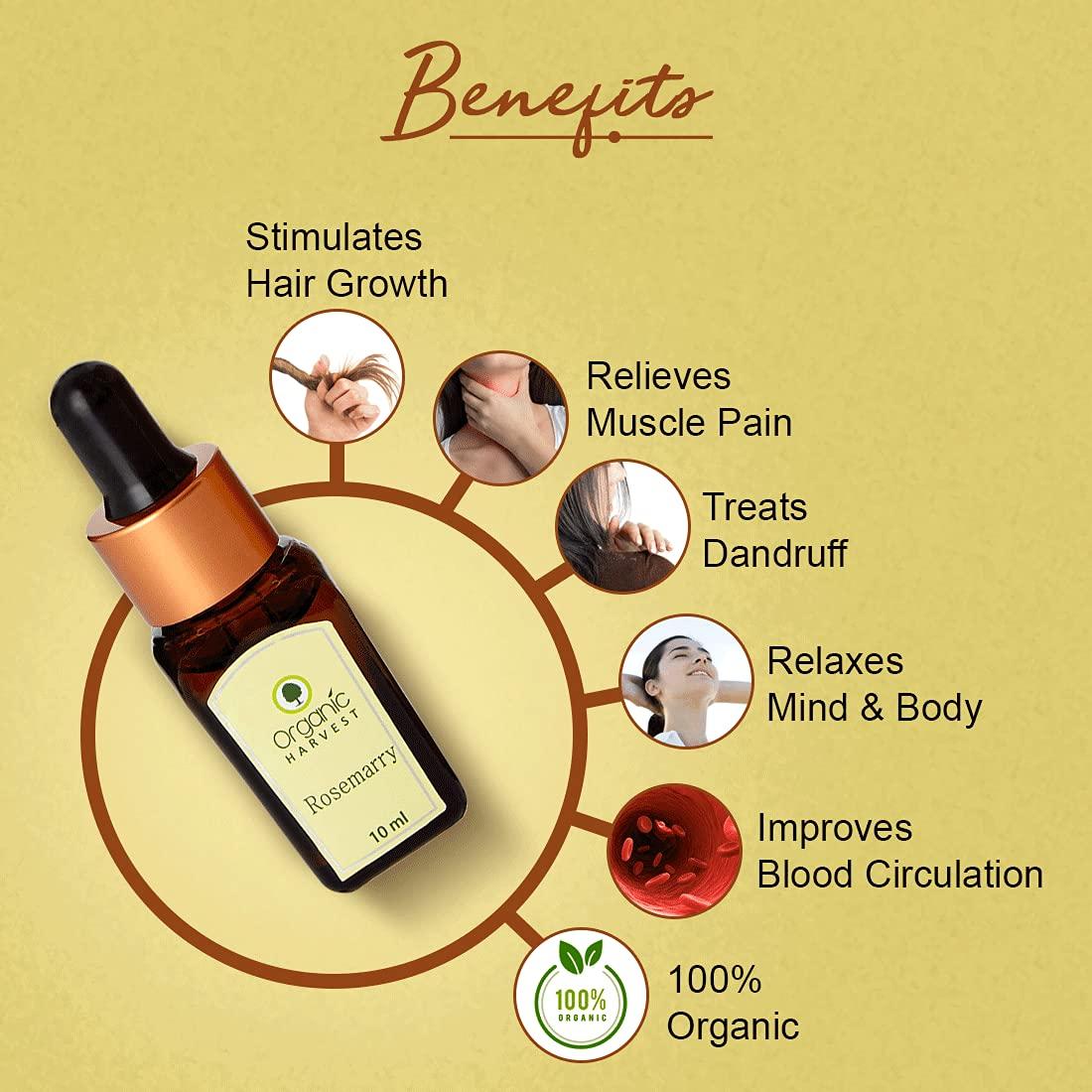 Organic Harvest Organic Harvest Combo of Rose, Jasmine, Lavender & Rosemary Essential Oil, For Face & Hair Care, Pure & Undiluted Therapeutic Grade Oil, Excellent for Aromatherapy,100% Organic, Paraben & Sulphate Free, 10 ml Each