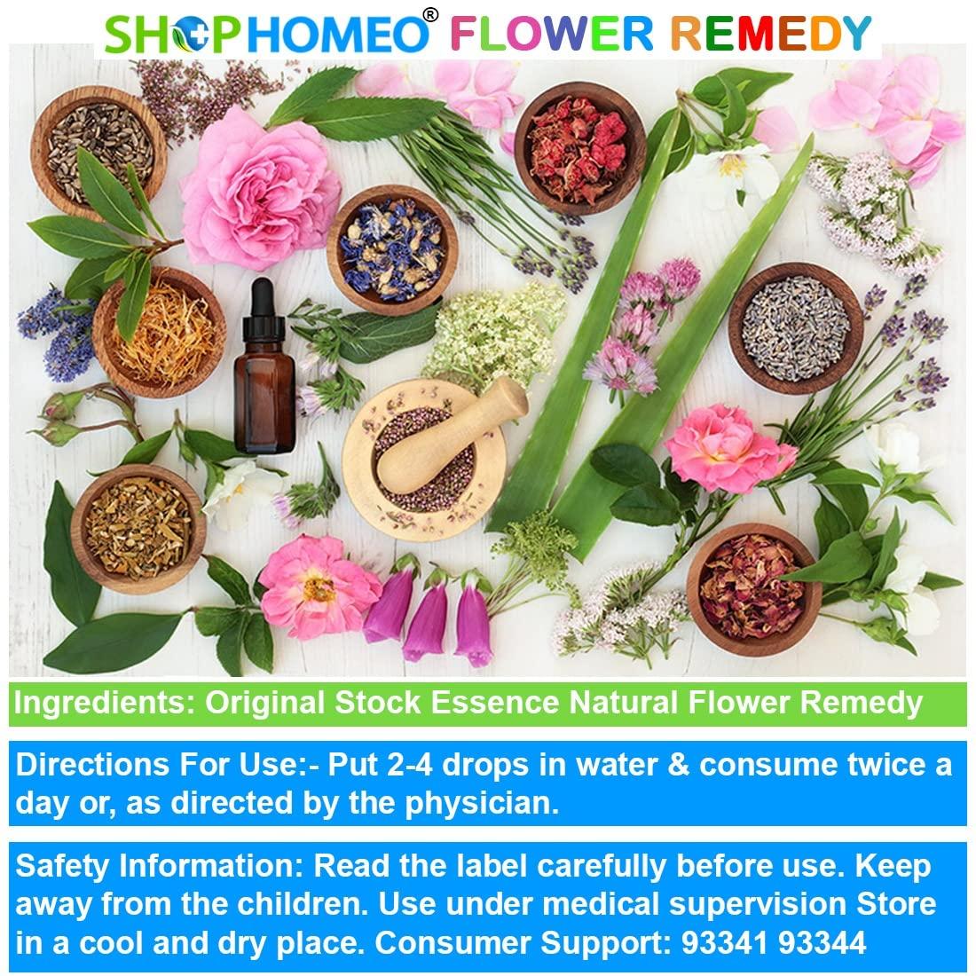 Shop Homeo & Herbal Larch 60ml - Bach Flower Remedies prepared from the Organic Concentrate (NOT A HOMEOPATHIC MEDICINE)