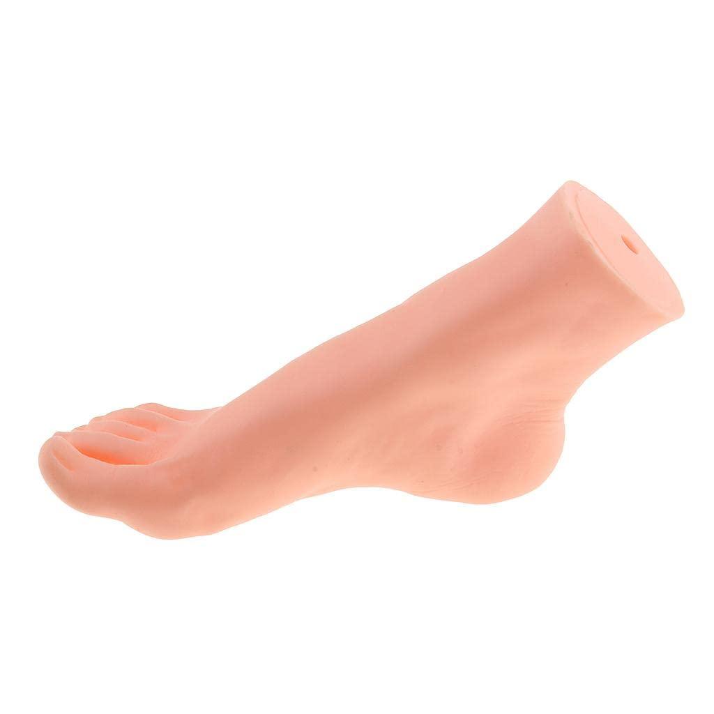 Expora EXPORA Rubber Vivid Retail Male Right Foot Mannequin Feet Shoes Dummy Model Display