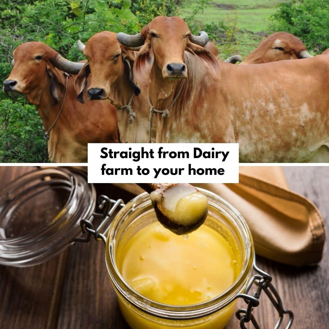 Healthy roots Healthy roots Gir Cow Ghee 500ml | A2 Pure Desi Ghee(glass jar) | 100% Pure Ghee | Natural Hand made by Traditional Vedic Bilona Method