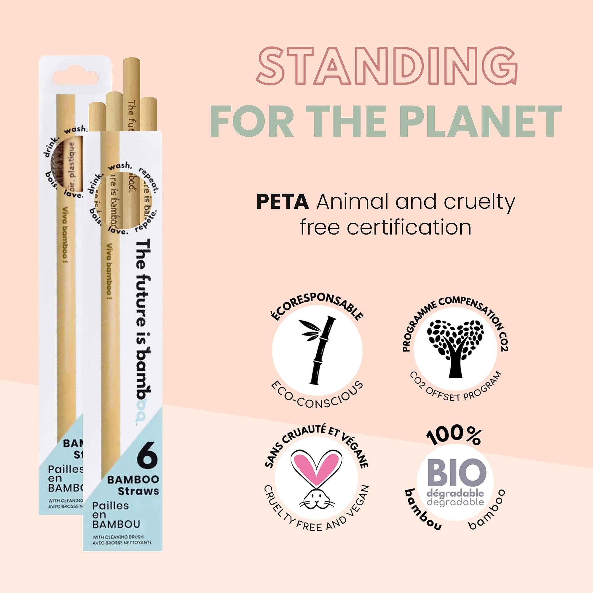 The future is bamboo The Future is Bamboo Bamboo Straws, Reusable Straws, Wooden Straws for Drinks, Pack of 6
