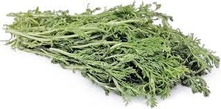 3V PRODUCTS 3V PRODUCTS Davana Powder 400g | Marikozhundhu | Davanam | Artemisia Pallens (Pack of 4x100g)