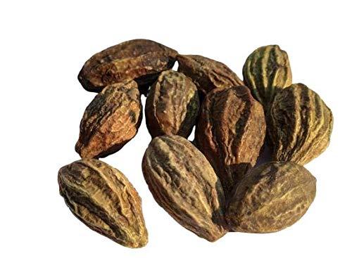 Nutrixia Food Inknut (Haritaki) Powder/ ()-Terminalia chebula/Bal Haritaki Churna (100 Gms)