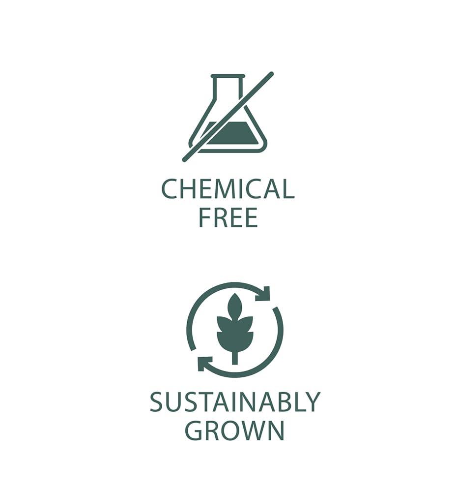 FOLK HARVEST DALLE KHURSANI CHILLI