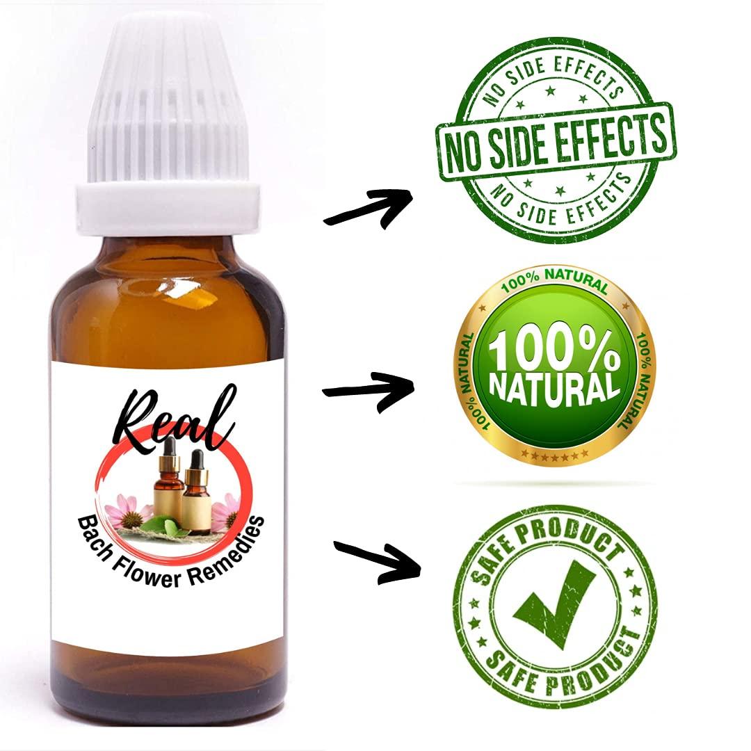 Healing Herbs Healing Herbs Elm 30Ml-Original Imported Flower Therapy Remedies By Dr Edward Bach Prepared From The First Concentrate