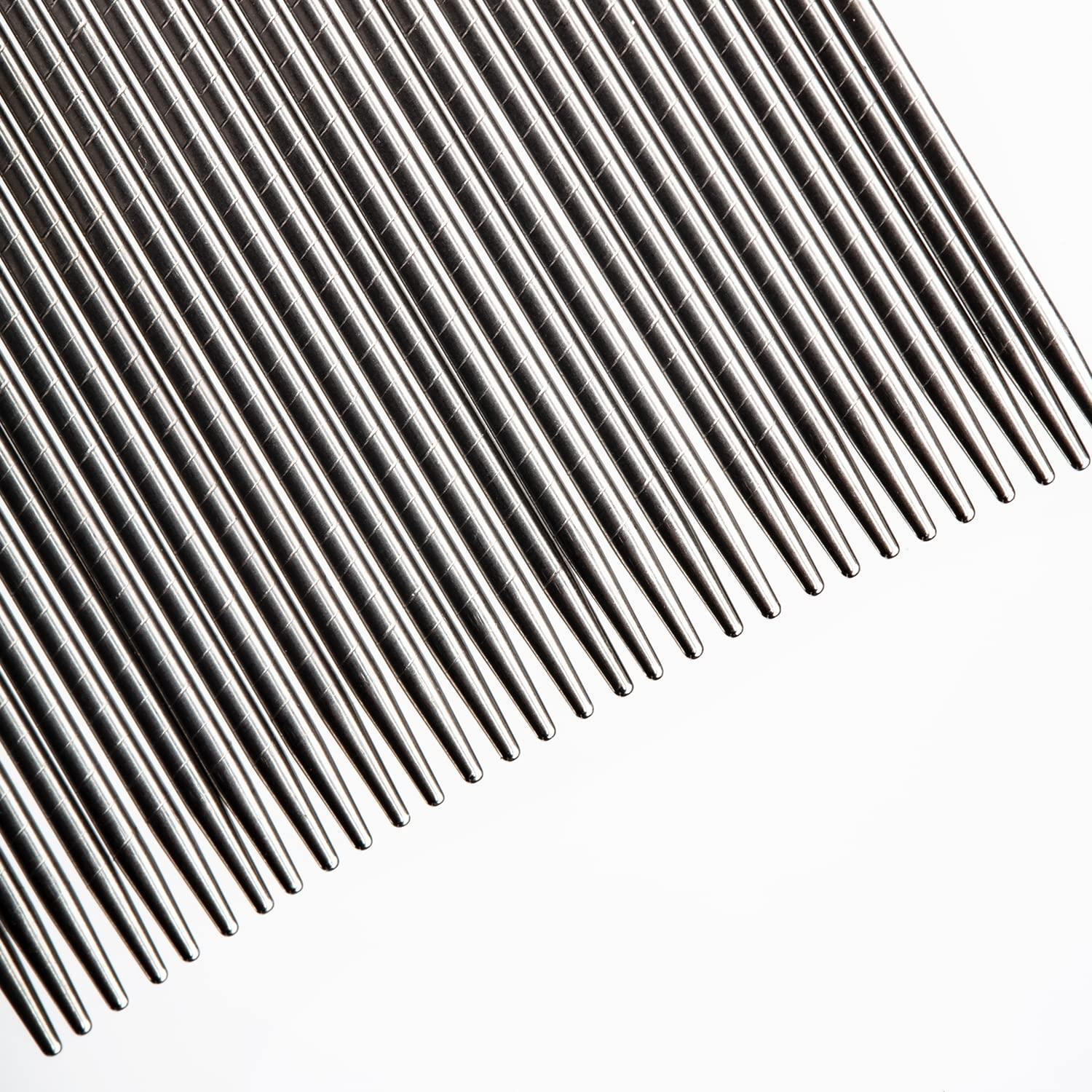 Clinical Guard ClinicalGuard Professional Lice Comb for Head Lice Removal, Nits, Flea and Lice Eggs with Cleaning Brush (2 Pack)