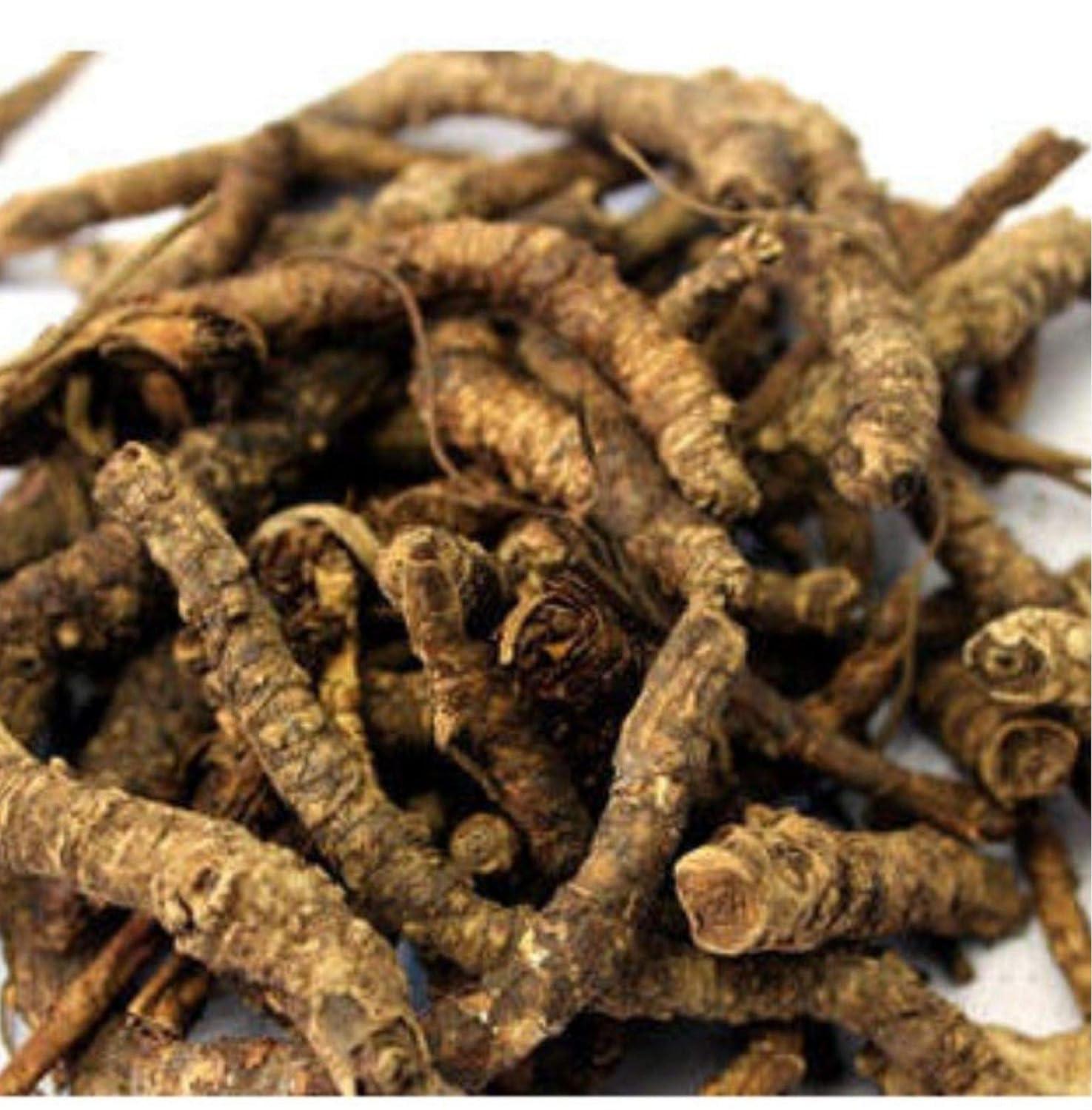 SAGAR VAIDYA SAGAR VAIDYA Kutki Churn100Grm - Picroriza Kurroa - Hellabore - Katukarogani Root - Kadu - Katuka - - |