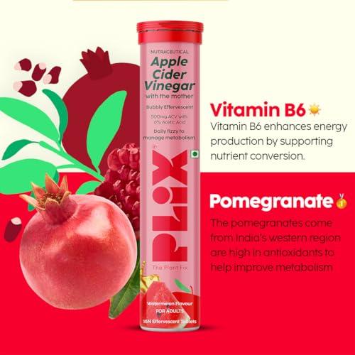 PLIX - THE PLANT FIX PLIX - THE PLANT FIX Apple Cider Vinegar Effervescent|With Mother ACV|Vitamin B6 & B12|Pack of 1 (Lemon Masala),15 Tablets|No Added Sugar|Easy to Carry & Consume, 90 grams